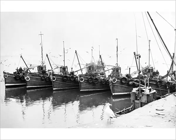 Newhaven fishing boats tied up alongside the harbour wall 1954