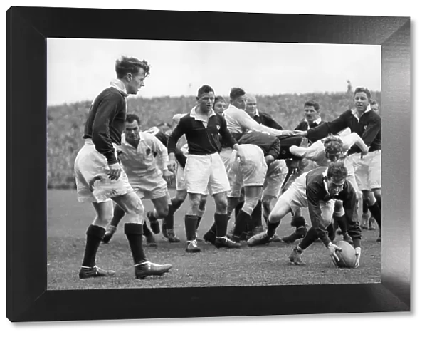 Scotland v England at Murrayfield 1948. Douglas Elliot watches Bill Black collect the ball after the scrum