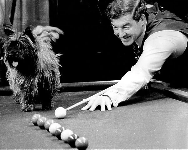Snooker Player Eddie Charlton with dog Hamish on the table