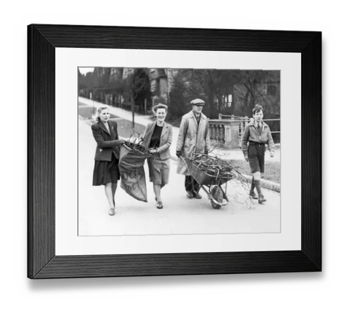 Framed Print : Collecting firewood Framed Print : Collecting firewood