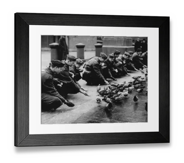 Framed Print : American troops feeding pigeons in Trafalgar Square, 1942 Framed Print : American troops feeding pigeons in Trafalgar Square, 1942