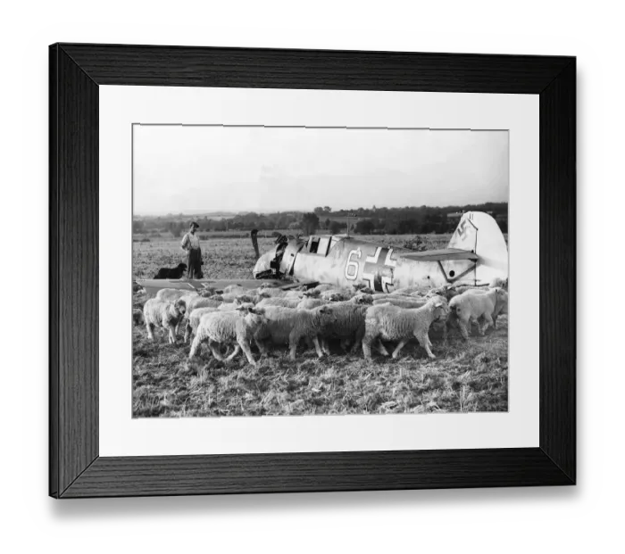 Framed Print : Shot down German plane in a field Framed Print : Shot down German plane in a field
