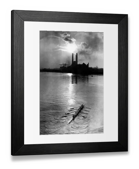 Framed Print : Rowers on the River Thames Framed Print : Rowers on the River Thames