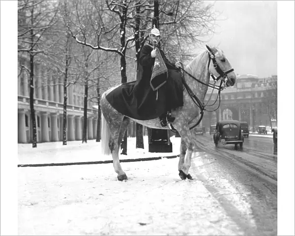 Horse guard in the snow