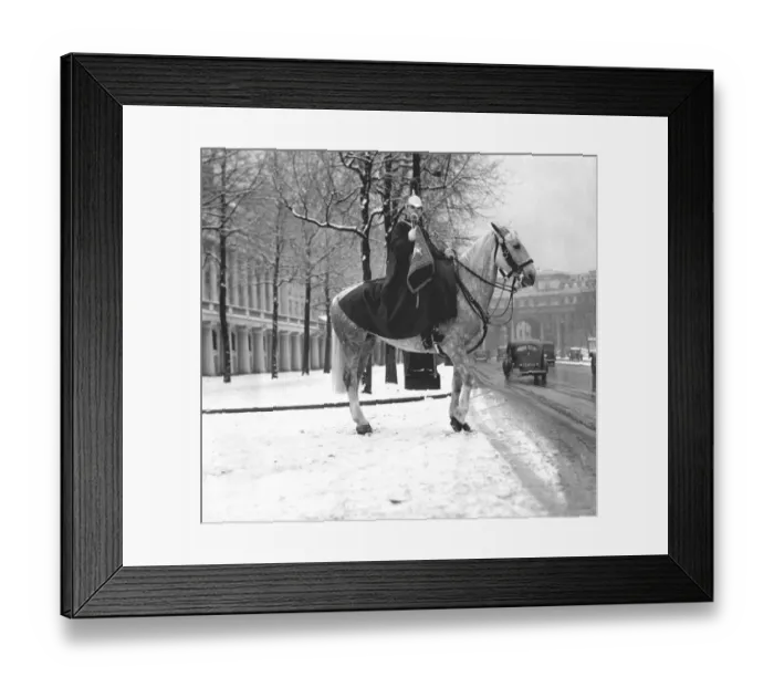 Framed Print : Horse guard in the snow Framed Print : Horse guard in the snow