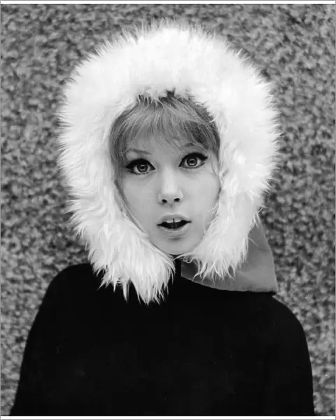 Sixties model, Pattie Boyd wearing fur hat