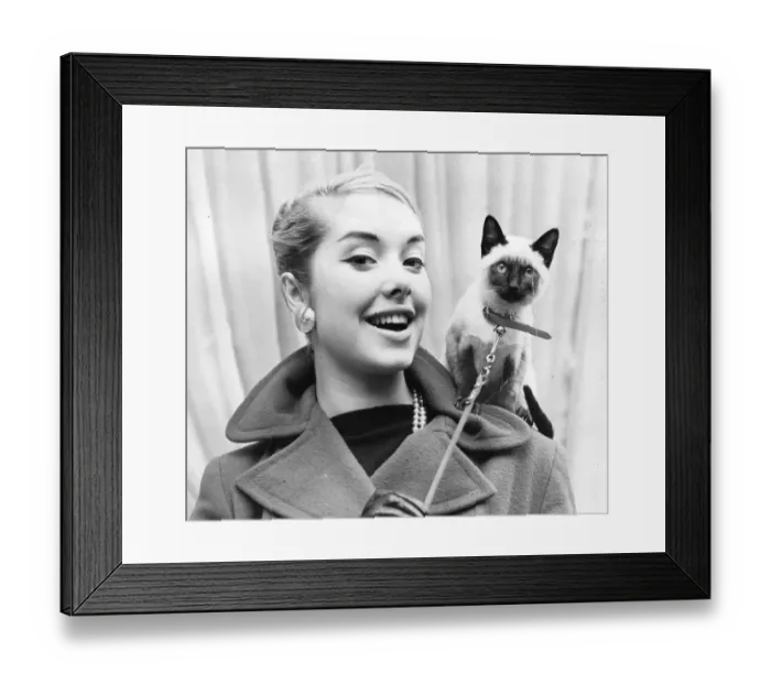 Framed Print : Fifties model with a cat Framed Print : Fifties model with a cat