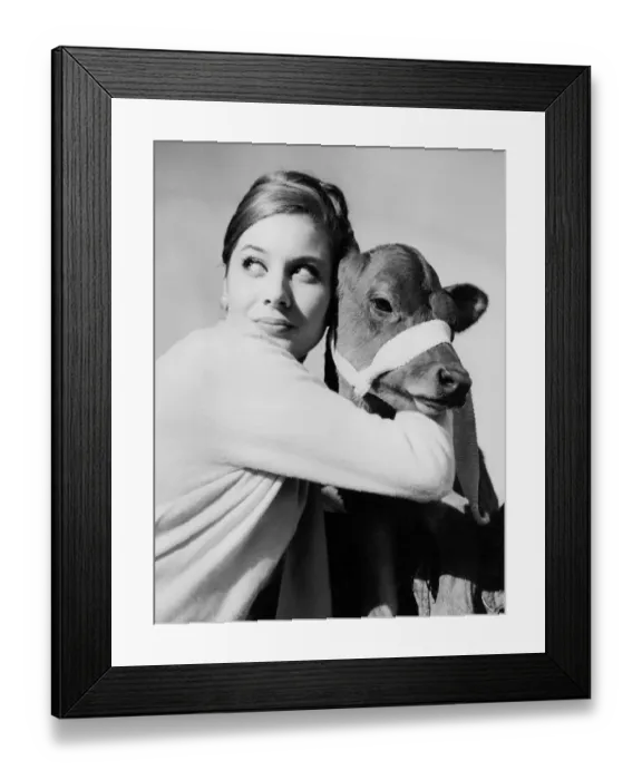 Framed Print : Zoe Constant, Dior fashion model hugging a calf Framed Print : Zoe Constant, Dior fashion model hugging a calf