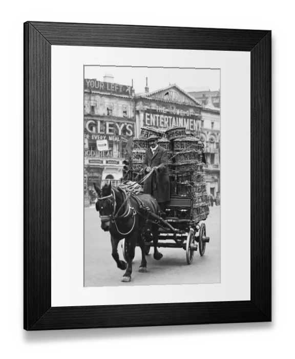 Framed Print : A horse drawn cart in Piccadilly Circus, 1939