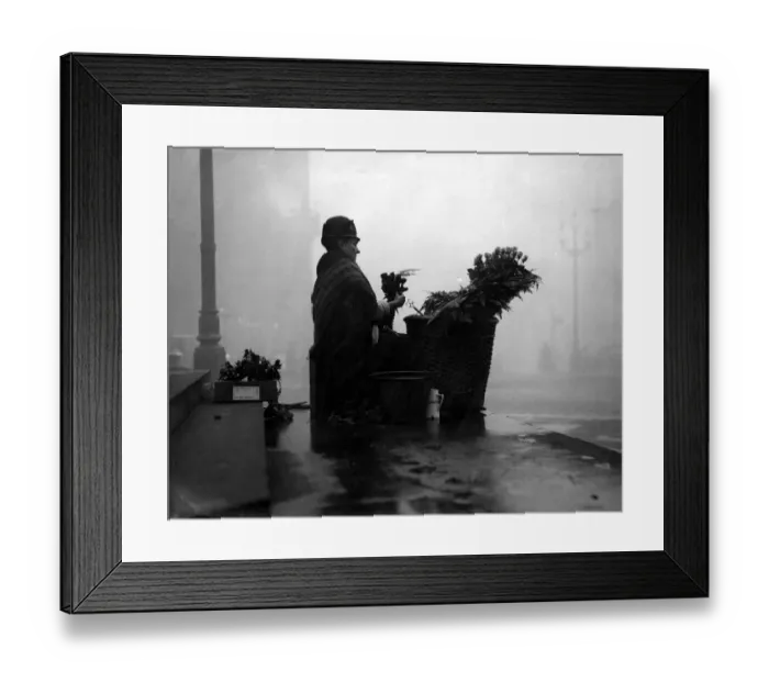 Framed Print : Flower Seller Framed Print : Flower Seller
