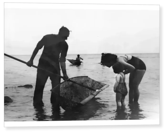 Print : Shrimping at Brighton Print : Shrimping at Brighton