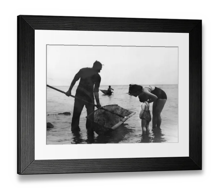 Framed Print : Shrimping at Brighton Framed Print : Shrimping at Brighton