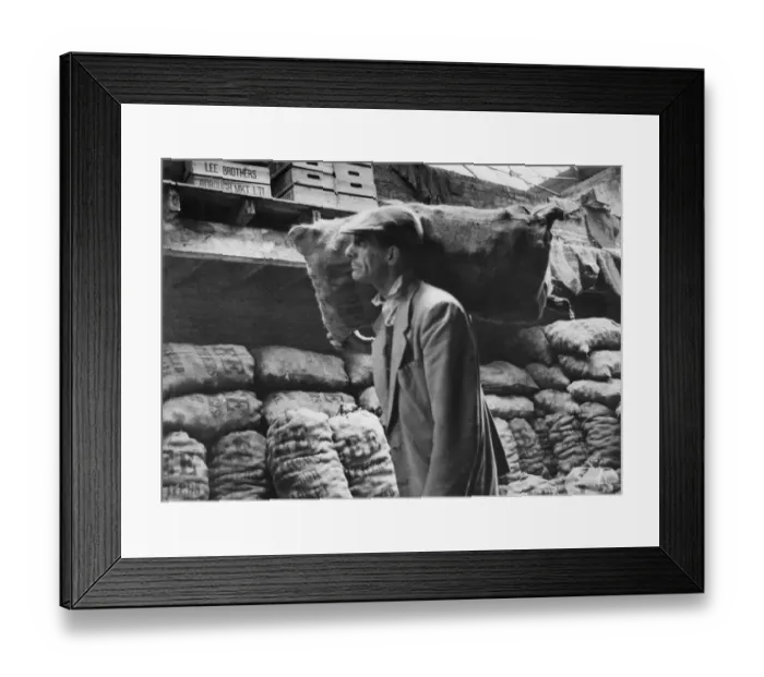 Framed Print : Carrying potatoes Framed Print : Carrying potatoes