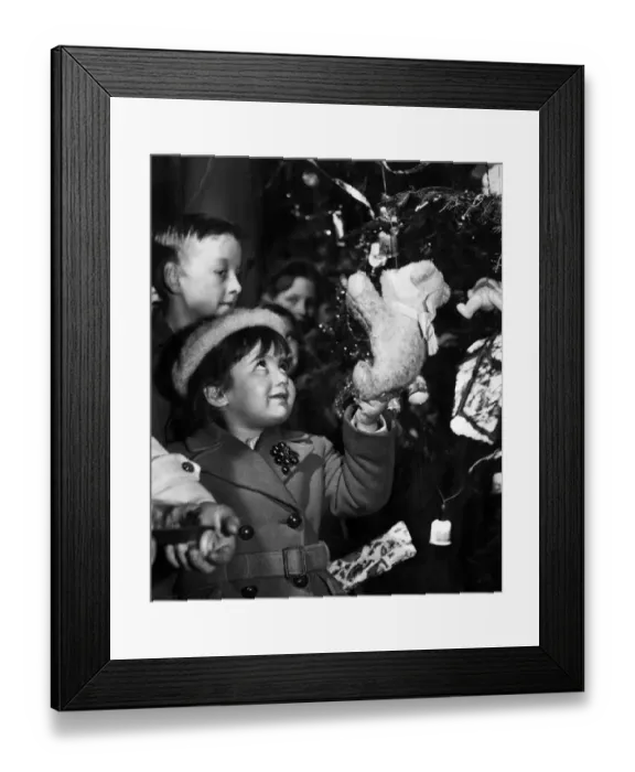 Framed Print : Putting presents on the tree, 1950s Framed Print : Putting presents on the tree, 1950s