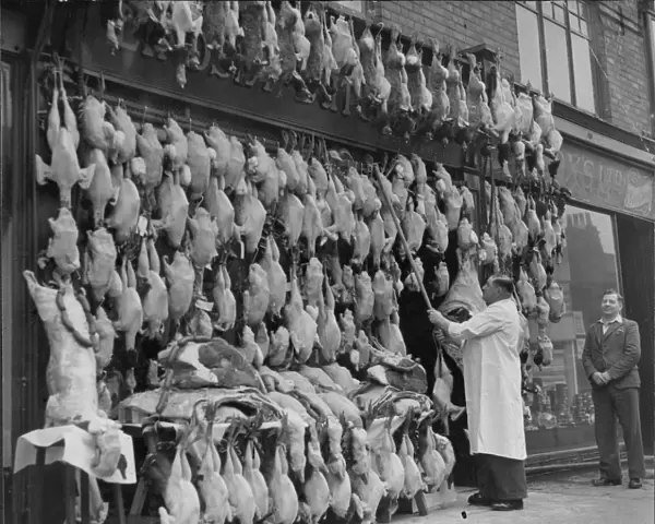 Turkeys for Christmas, 1946