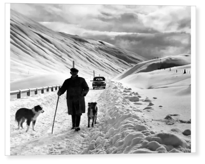 Print : Shepherd in the snow Print : Shepherd in the snow