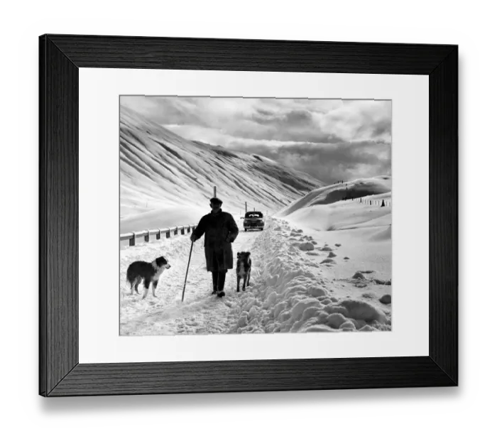 Framed Print : Shepherd in the snow Framed Print : Shepherd in the snow