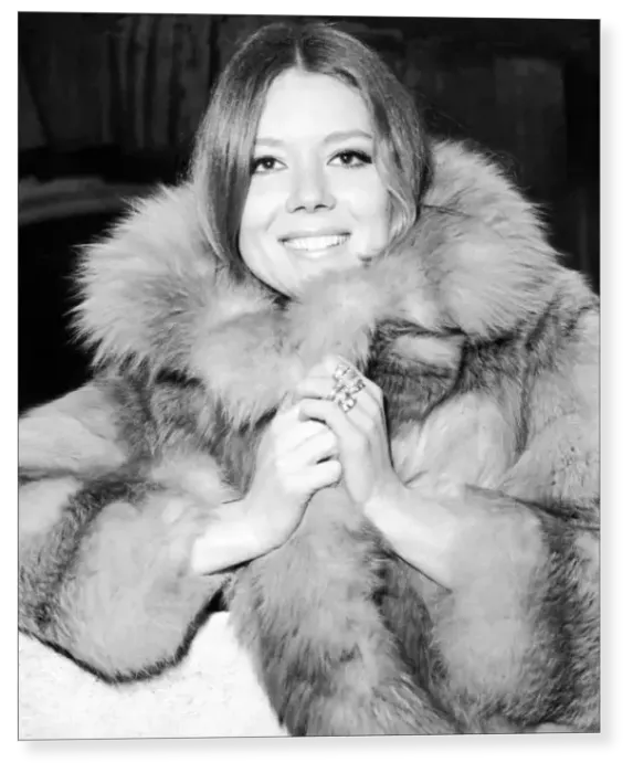 Print : Diana Rigg, actress Print : Diana Rigg, actress