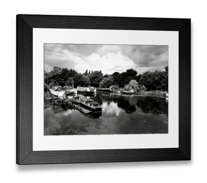 Framed Print : Cubitts yacht basin on the Thames in Chiswick, London Framed Print : Cubitts yacht basin on the Thames in Chiswick, London