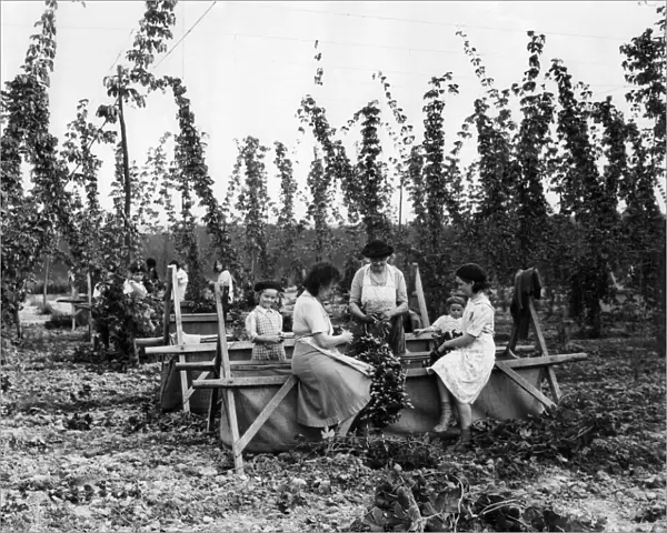 Hop Pickers in Brenchley, Kent