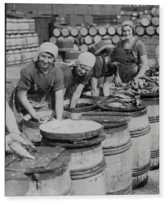 Print : Fish packers in 1933 Print : Fish packers in 1933