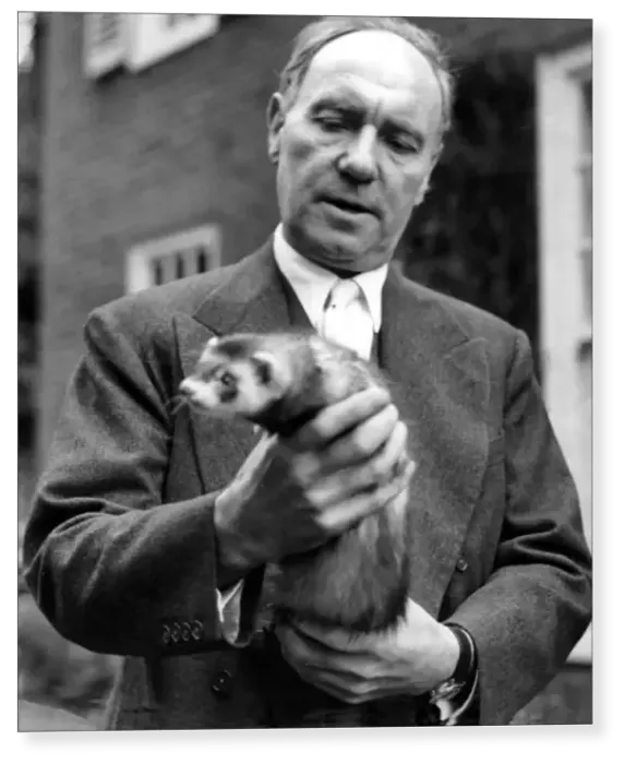 Print : Sir Ralph Richardson Print : Sir Ralph Richardson