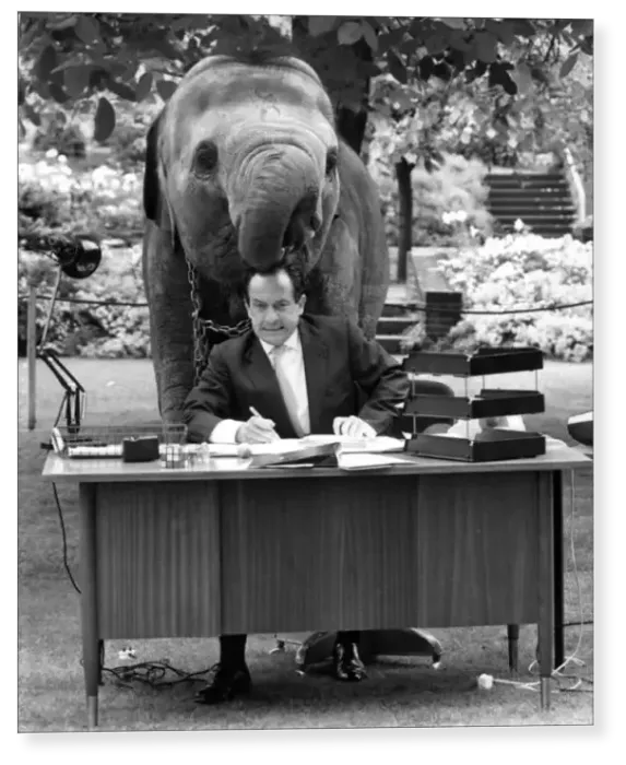 Print : Spanish mime artist Alberto Vidal appearing at London Zoo with an elephant Print : Spanish mime artist Alberto Vidal appearing at London Zoo with an elephant
