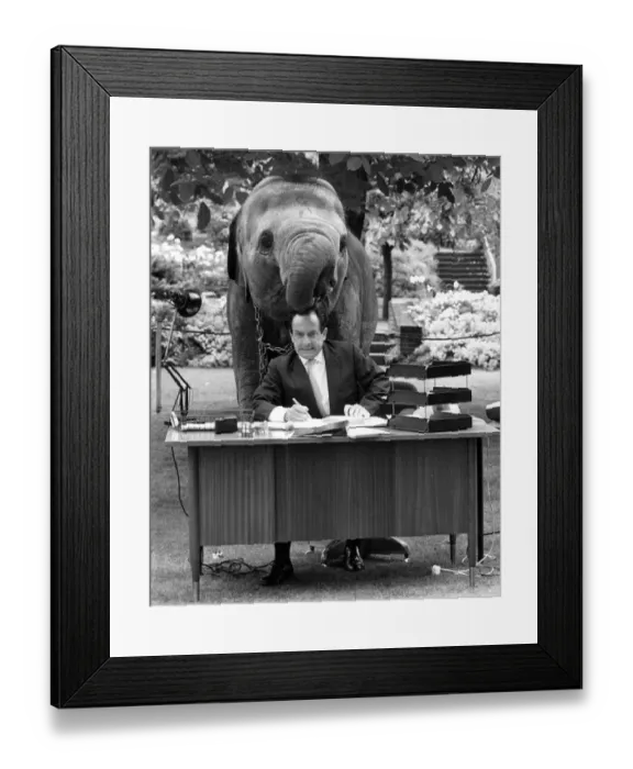 Framed Print : Spanish mime artist Alberto Vidal appearing at London Zoo with an elephant Framed Print : Spanish mime artist Alberto Vidal appearing at London Zoo with an elephant
