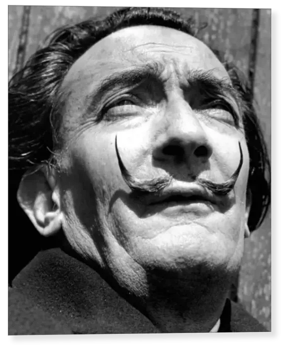 Print : Salvador Dali