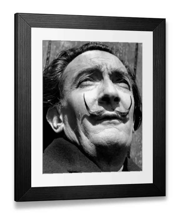 Framed Print : Salvador Dali Framed Print : Salvador Dali