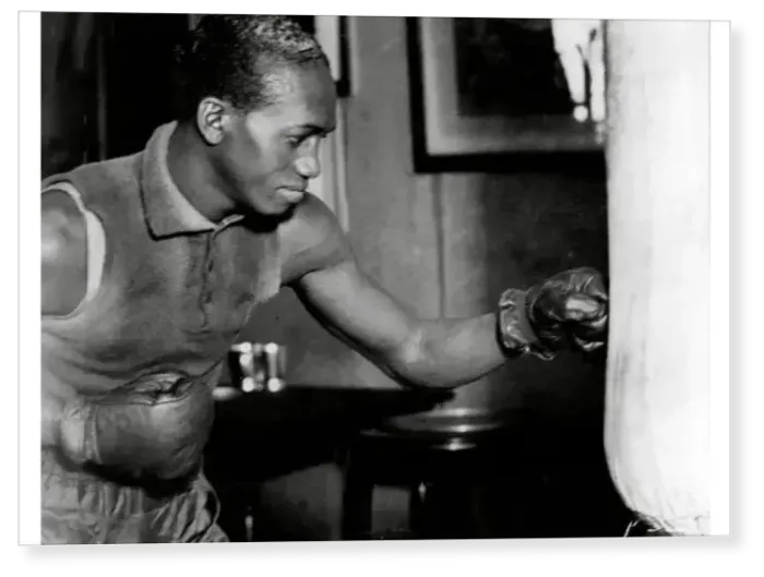 Print : Boxer Panama Al Brown Print : Boxer Panama Al Brown