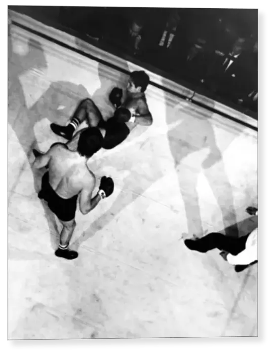 Print : Billy Walker v Jose Menno, heavyweight fight at the Royal Albert Hall
