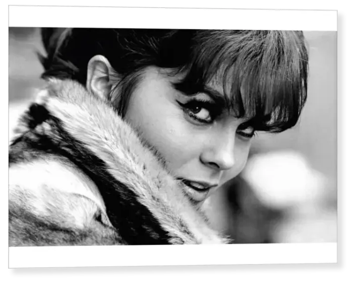 Print : Ann-Margret Print : Ann-Margret