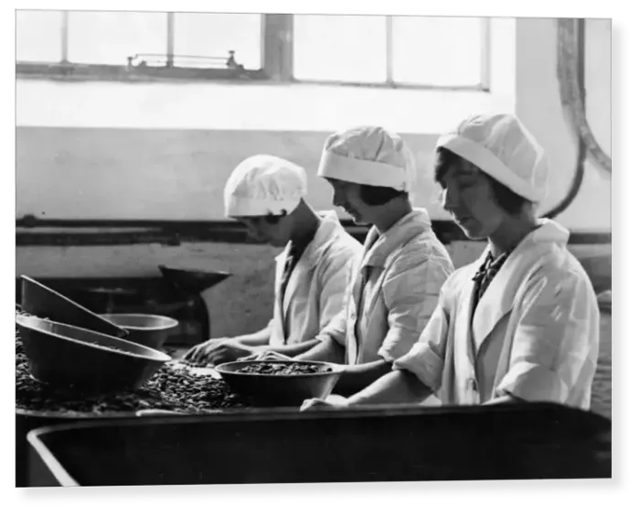 Print : Workers at Frys Cocoa and Chocolate Works Print : Workers at Frys Cocoa and Chocolate Works