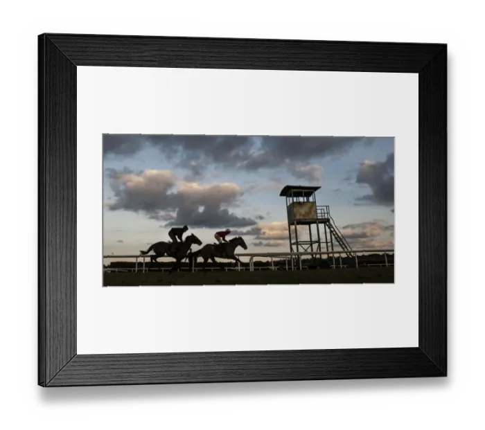 Framed Print : Racehorses on the gallops at Leopards Town Framed Print : Racehorses on the gallops at Leopards Town