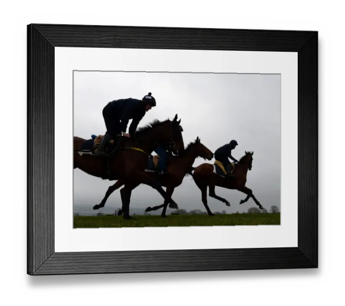 Framed Print : Racehorses out for a morning gallop Framed Print : Racehorses out for a morning gallop