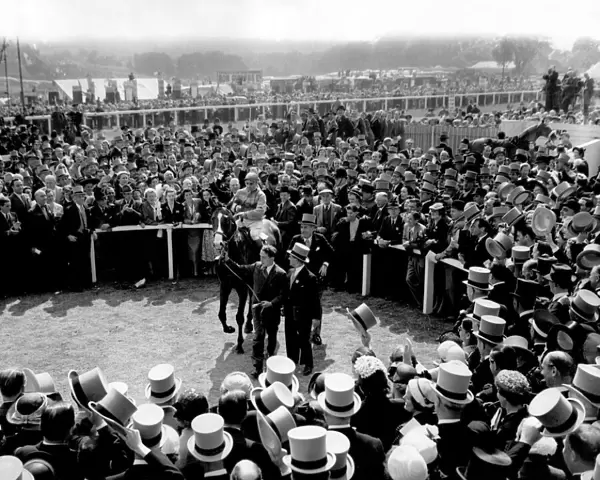 The Derby 1953. Pinza the winner
