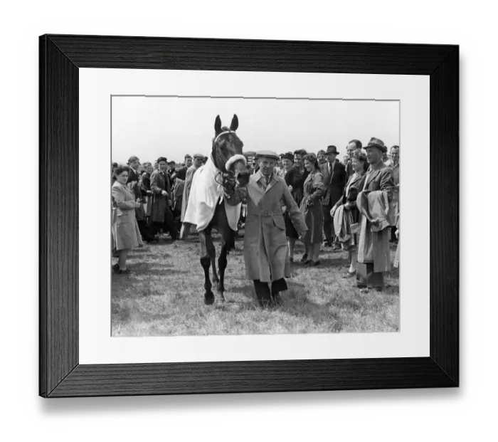 Framed Print : The Derby 1947. The winner, Pearl Driver, being led from the course Framed Print : The Derby 1947. The winner, Pearl Driver, being led from the course