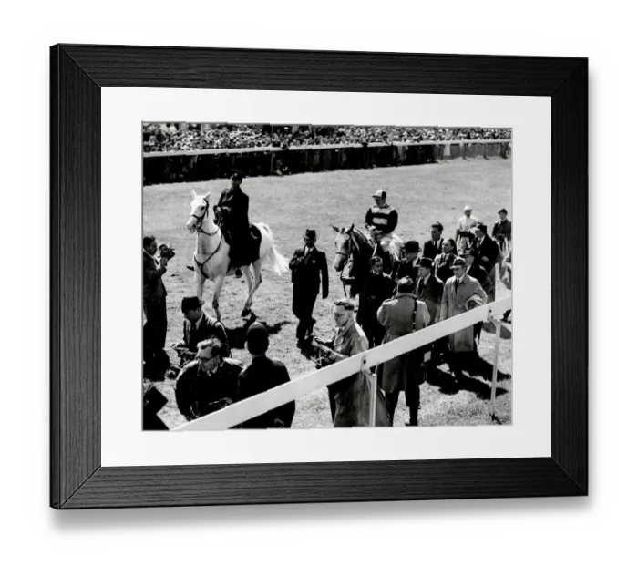 Framed Print : The Derby 1946. The winner Airborne being led in Framed Print : The Derby 1946. The winner Airborne being led in