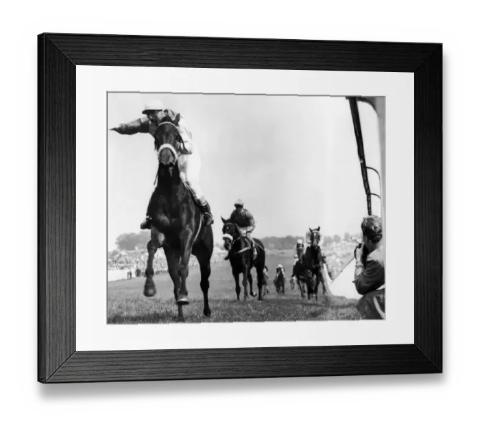 Framed Print : The Oaks at Epsom races 1955 Framed Print : The Oaks at Epsom races 1955