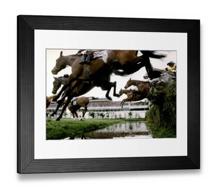 Framed Print : Aintree 1994 Framed Print : Aintree 1994