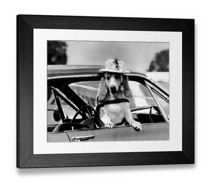 Framed Print : Where did you get that hat? Framed Print : Where did you get that hat?