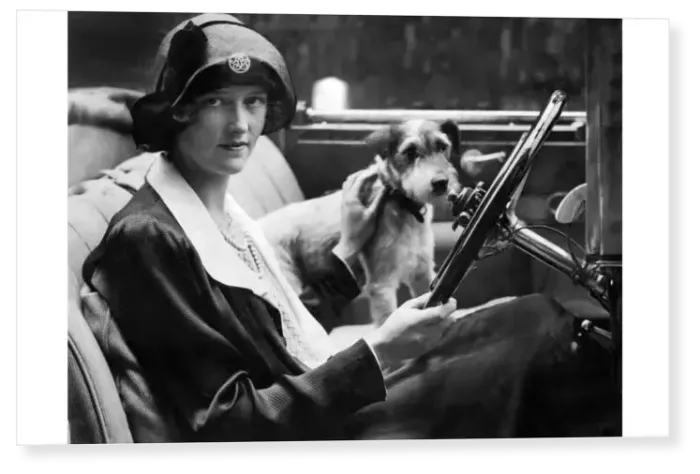 Print : Taking the dog for a drive Print : Taking the dog for a drive