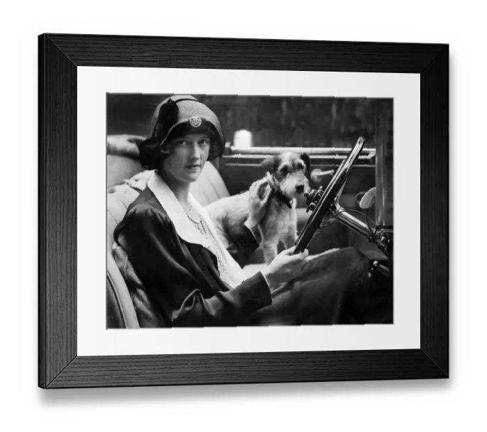Framed Print : Taking the dog for a drive Framed Print : Taking the dog for a drive