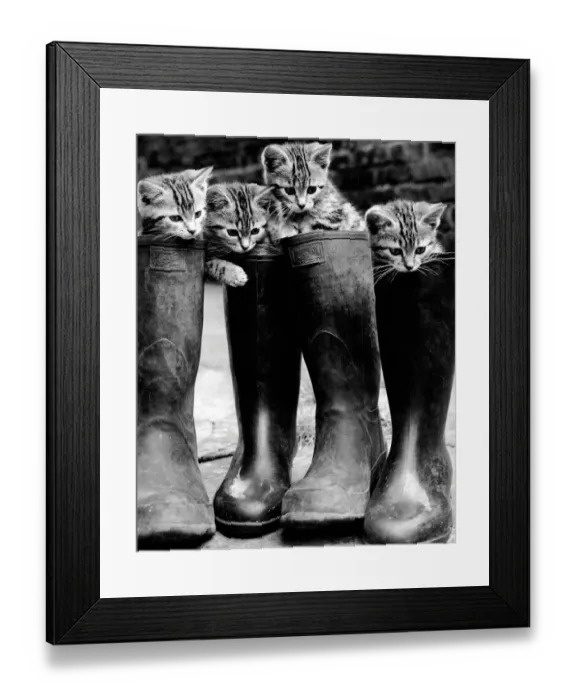 Framed Print : Puss in Boots