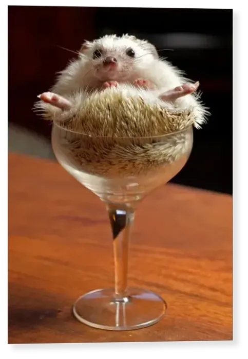 Print : Cheers. Hedgehog in a wine glass Print : Cheers. Hedgehog in a wine glass