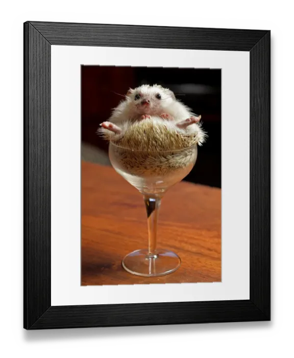 Framed Print : Cheers. Hedgehog in a wine glass Framed Print : Cheers. Hedgehog in a wine glass
