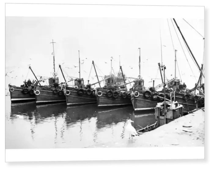 Print : Newhaven fishing boats tied up alongside the harbour wall 1954 Print : Newhaven fishing boats tied up alongside the harbour wall 1954