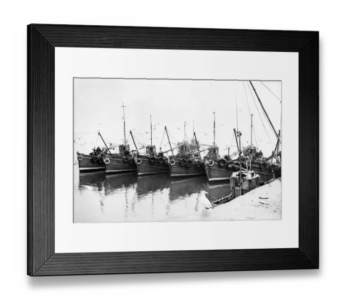 Framed Print : Newhaven fishing boats tied up alongside the harbour wall 1954