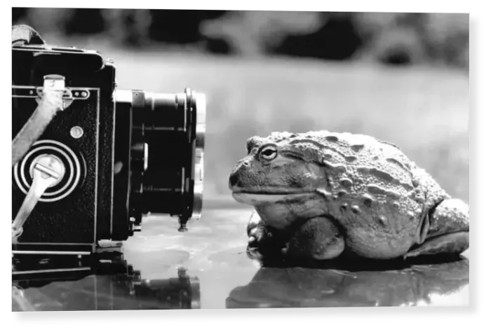 Print : I m ready for my close-up Print : I m ready for my close-up